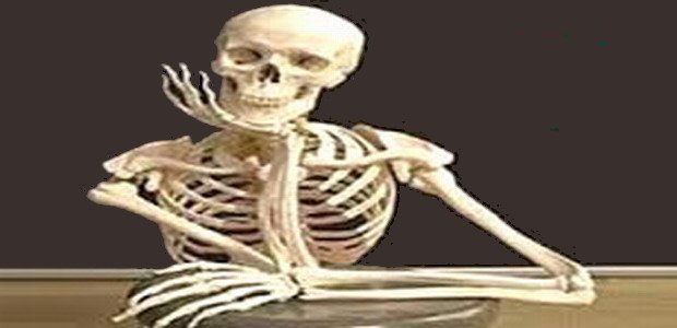 חידון עובדות מעניינות על גוף האדם body_interesting_facts