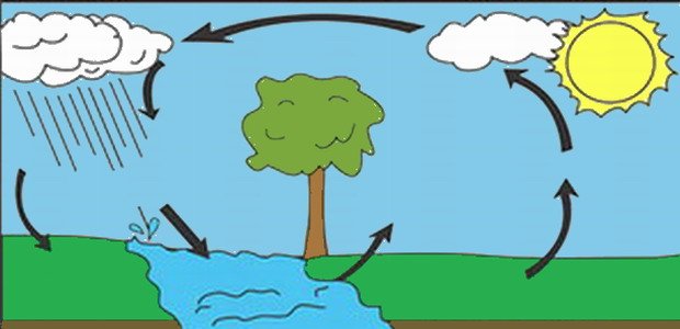 חידון מחזור המים water_cycle2